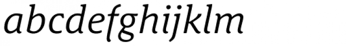 Schuss News Pro Italic