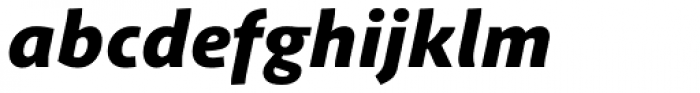 Schuss Sans PCG Heavy Italic