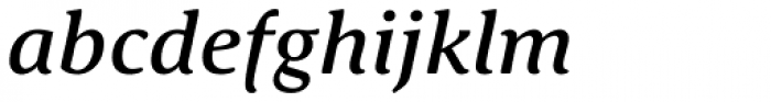 Schuss Serif Pro Medium Italic