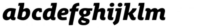 Schuss Slab Pro Heavy Italic