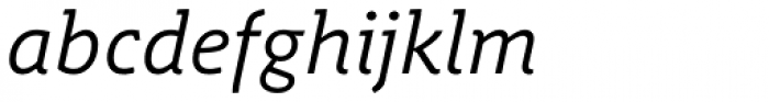 Schuss Slab Pro Italic