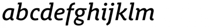 Schuss Slab Pro Medium Italic