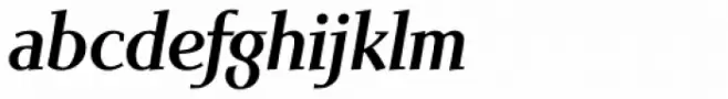 Scintilla Pro Medium Italic