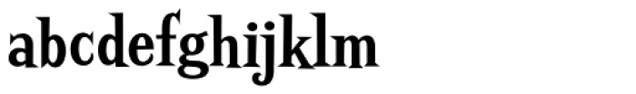 Screwby Condensed Bold