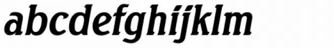 Seagull Serial Bold Italic