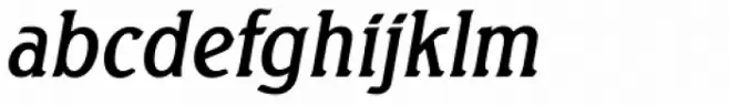 Seagull Serial Italic