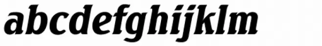 Seagull TS Black Italic