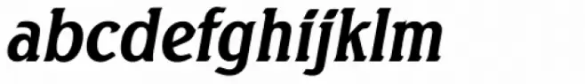 Seagull TS Bold Italic