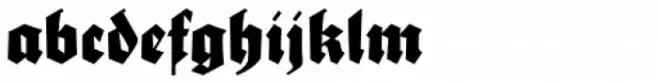 Sebaldus Bold