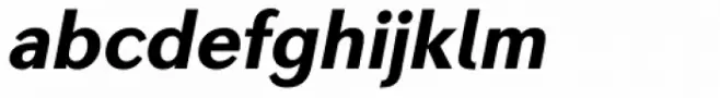Seconda Heavy Italic