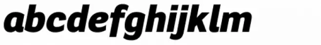 Segaon Black Italic