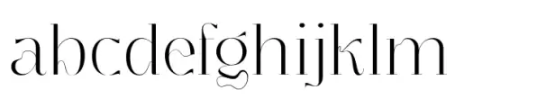 Segina Display Light