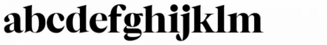 Segnieur Serif Display Black