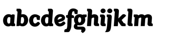 Segno Brush Black