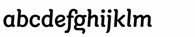 Segno Brush Medium