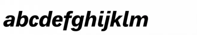 Segoe Alt Std Bold Italic