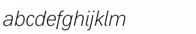 Segoe Alt Std Light Italic