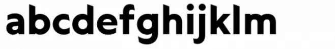 Seitu Bold