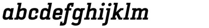 Selektor Slab Bold Itlaic