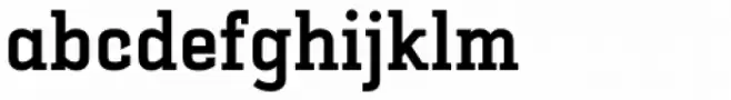 Selektor Slab Bold