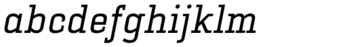 Selektor Slab Italic