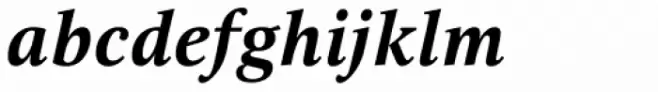 Selina Bold Italic