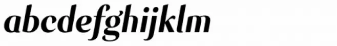 Senlot Cond Black Italic