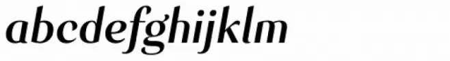 Senlot Norm Bold Italic