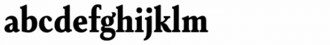 Senlot Serif Condensed Black