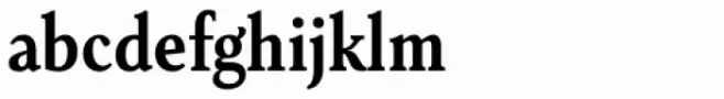 Senlot Serif Condensed Bold