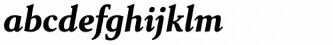Senlot Serif Norm Black Italic