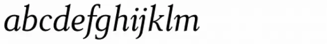 Senlot Serif Norm Book Italic