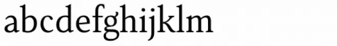 Senlot Serif Norm Book