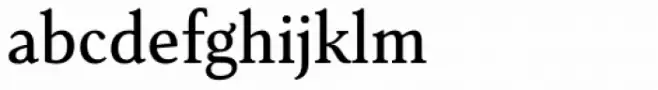 Senlot Serif Norm Medium