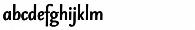 Seria Pro Bold Italic Sans