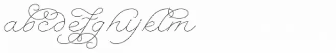 Serofina Thin