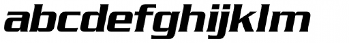Serpentine Serif EF Medium Italic