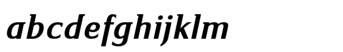Serus Black Italic