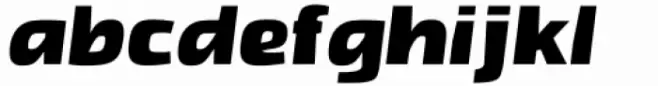 Setter Black Italic