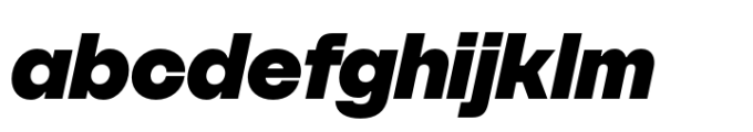 SFT Schrifted Sans Black Italic