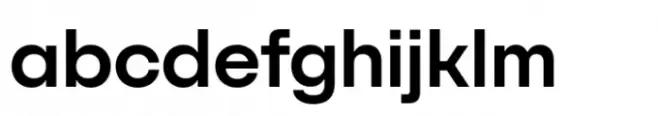 SFT Schrifted Sans DemiBold