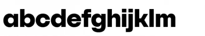 SFT Schrifted Sans ExtraBold