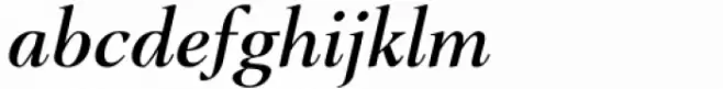 Shallot Medium Italic