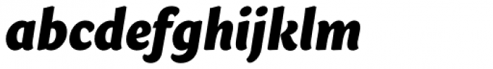 Sharik Sans Black Italic