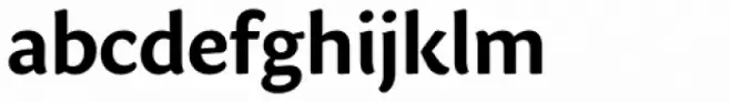 Sharik Sans Bold