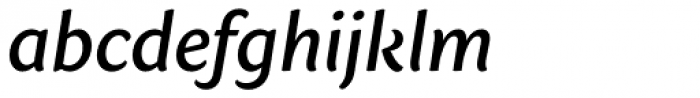 Sharik Sans Medium Italic