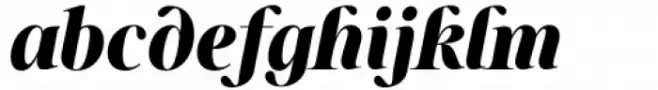 Sharpe Variable Black Italic