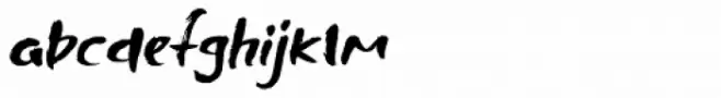 Shinano Italic