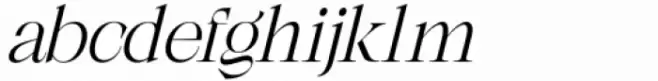 Shocka Family Light Italic