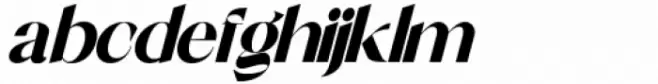 Shocka Family Sans Black Italic
